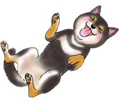 Black-Shiba Sticker sticker #4000443