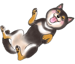 Black-Shiba Sticker sticker #4000443