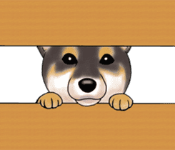 Black-Shiba Sticker sticker #4000444
