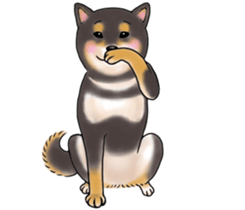 Black-Shiba Sticker sticker #4000451