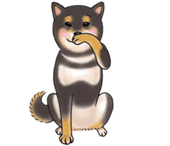Black-Shiba Sticker sticker #4000451