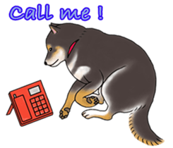 Black-Shiba Sticker sticker #4000456