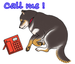 Black-Shiba Sticker sticker #4000456