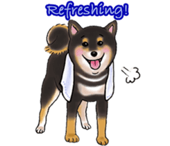 Black-Shiba Sticker sticker #4000457