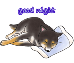 Black-Shiba Sticker sticker #4000459