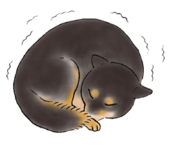 Black-Shiba Sticker sticker #4000460