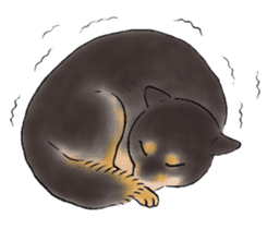 Black-Shiba Sticker sticker #4000460