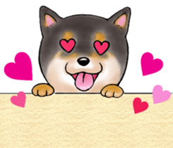 Black-Shiba Sticker sticker #4000465
