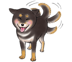 Black-Shiba Sticker sticker #4000466