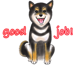 Black-Shiba Sticker sticker #4000468
