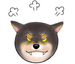 Black-Shiba Sticker sticker #4000469
