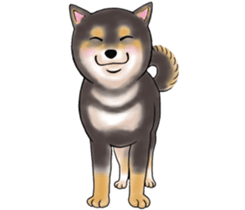 Black-Shiba Sticker sticker #4000470