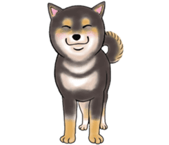 Black-Shiba Sticker sticker #4000470