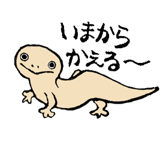 SKINKS sticker #4001324