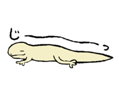 SKINKS sticker #4001332