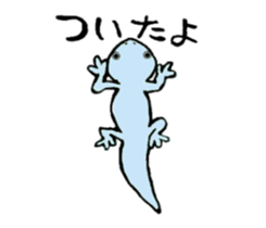 SKINKS sticker #4001341