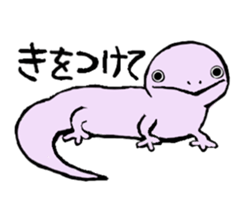 SKINKS sticker #4001347