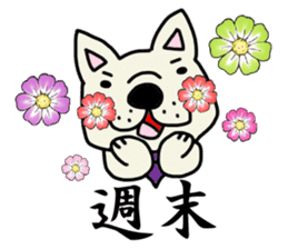 Sticker of a working French bulldog. sticker #4003048