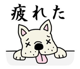 Sticker of a working French bulldog. sticker #4003053