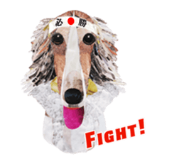 Let's talk "Borzoi" sticker #4006560