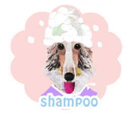Let's talk "Borzoi" sticker #4006576