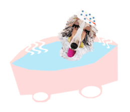 Let's talk "Borzoi" sticker #4006578