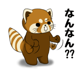 ChaTaro of red pandas Kansai dialect sticker #4008554