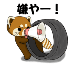 ChaTaro of red pandas Kansai dialect sticker #4008556
