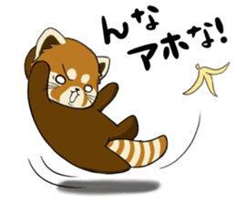 ChaTaro of red pandas Kansai dialect sticker #4008560