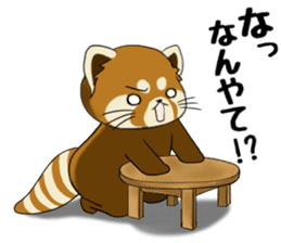 ChaTaro of red pandas Kansai dialect sticker #4008562