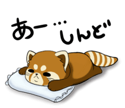 ChaTaro of red pandas Kansai dialect sticker #4008564