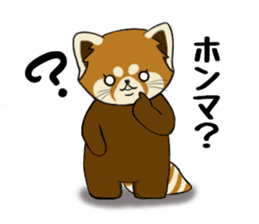ChaTaro of red pandas Kansai dialect sticker #4008566
