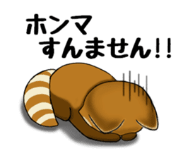 ChaTaro of red pandas Kansai dialect sticker #4008569