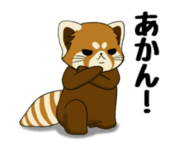 ChaTaro of red pandas Kansai dialect sticker #4008572