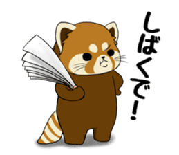 ChaTaro of red pandas Kansai dialect sticker #4008573