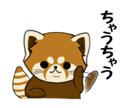 ChaTaro of red pandas Kansai dialect sticker #4008574