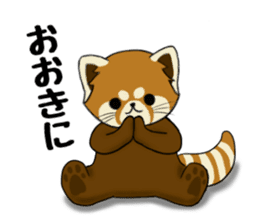 ChaTaro of red pandas Kansai dialect sticker #4008577