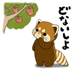 ChaTaro of red pandas Kansai dialect sticker #4008581