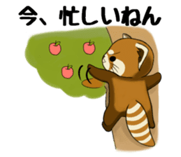 ChaTaro of red pandas Kansai dialect sticker #4008582