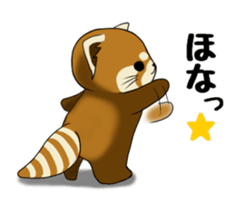 ChaTaro of red pandas Kansai dialect sticker #4008590