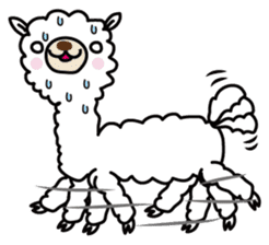 Three alpacas sticker sticker #4009712