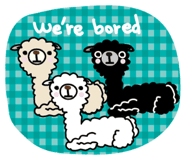 Three alpacas sticker sticker #4009715