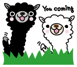 Three alpacas sticker sticker #4009716