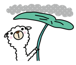 Three alpacas sticker sticker #4009744