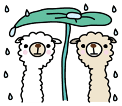 Three alpacas sticker sticker #4009745