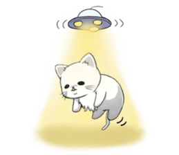 Pote cat&Pote squirrel Vol.2 sticker #4009851