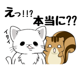 Pote cat&Pote squirrel Vol.2 sticker #4009853