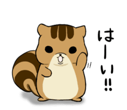 Pote cat&Pote squirrel Vol.2 sticker #4009856