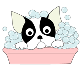 Hopeman sticker #4011285