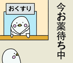 Pharmacist White dolphin Kyupi sticker #4012357